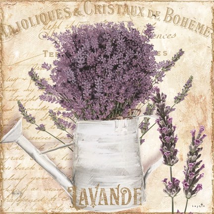 Framed French Lavender Print