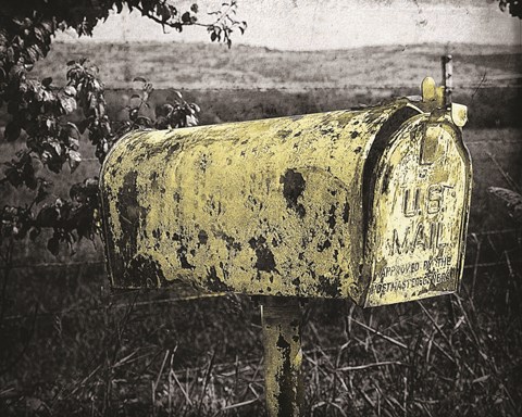 Framed Yellow Mailbox Print