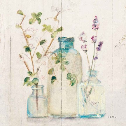 Framed Blossoms V Light Print