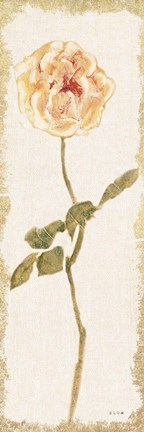 Framed Pale Rose Panel Light Print