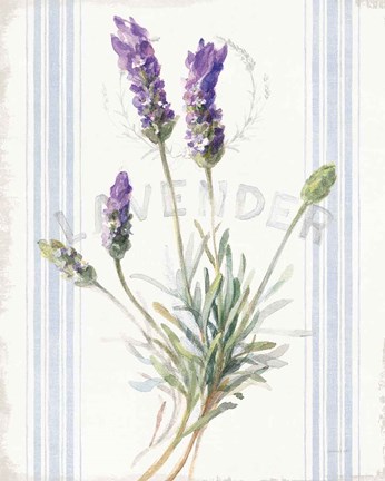 Framed Floursack Lavender III Print