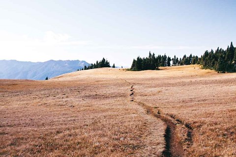Framed Hurricane Hill I Print