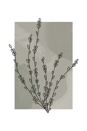 Framed Sage Floral II Print