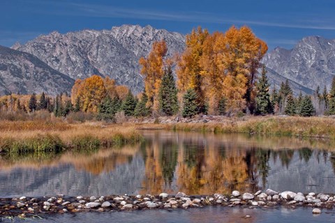 Framed Teton Autumn Print