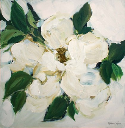 Framed Magnolia Print