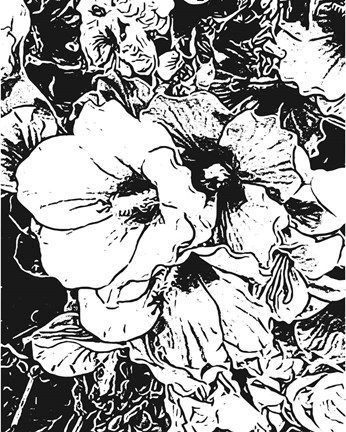 Framed BW Floral No. 6 Print