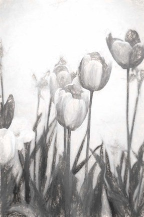 Framed Tulips IV Print