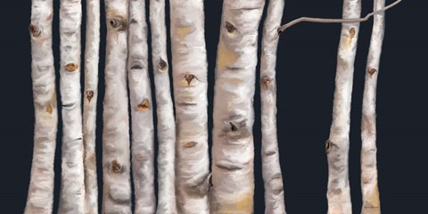 Framed Birch Grove I Print