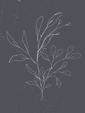 Framed Soft Bouquet I Print