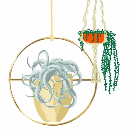 Framed Hanging Plant Set III Print