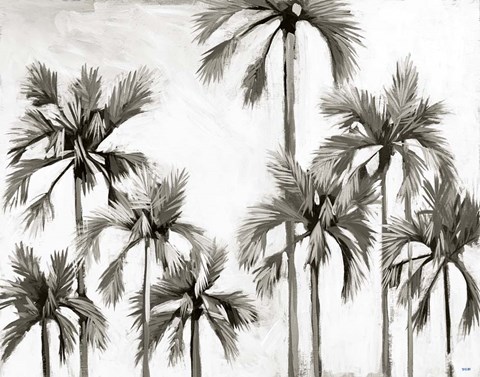 Framed Palms At Dusk Print