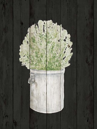 Framed Herbs on Black II Print