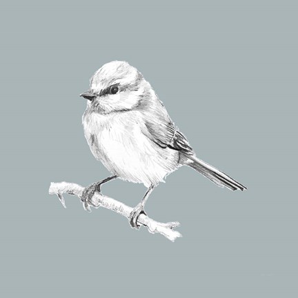 Framed Bird Study on Blue II Print