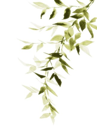 Framed Single Branch II Print