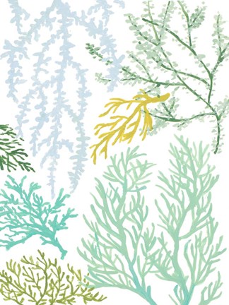 Framed Budding Vertical Coral I Print