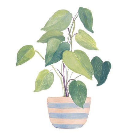 Framed Mother-In-Law Plant In Striped Pot Print