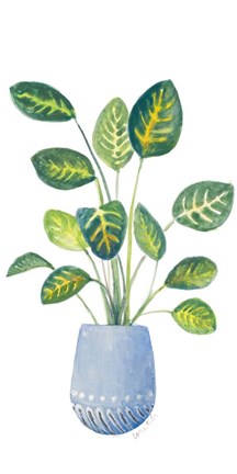 Framed Croton In Blue Pot Print