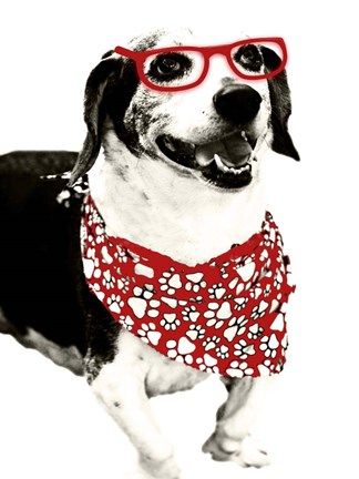 Framed Cool Fella Print