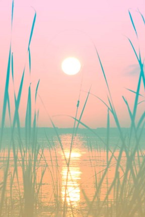 Framed Fresh Sunset Views Print