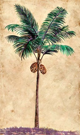 Framed Coconut Tribal Palm II Print