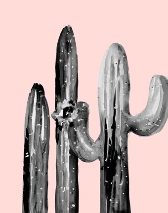 Framed Natural Desert Cactus On Blush Print
