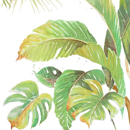 Framed Wild World Palms Print