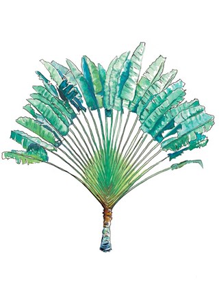 Framed Travelers Palm Print