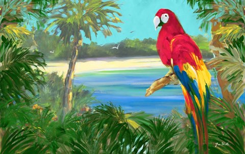 Framed Parrot By The Ocean Print