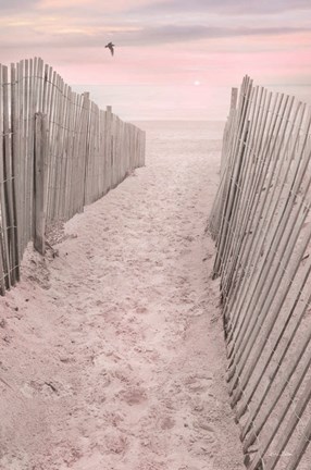 Framed Pink Beach Sunrise Print