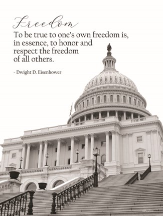Framed Freedom Print