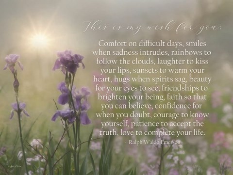 Framed My Wish for You - Floral Print