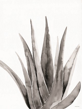 Framed Organic Botanical II Print