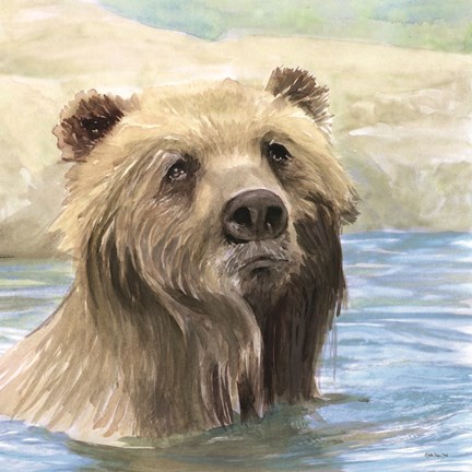 Framed Bear Bath Print