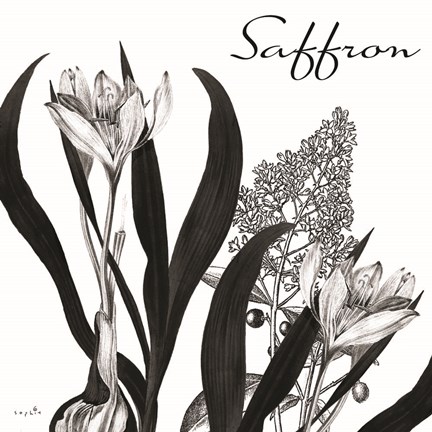 Framed Flowering Herbs Saffron Print