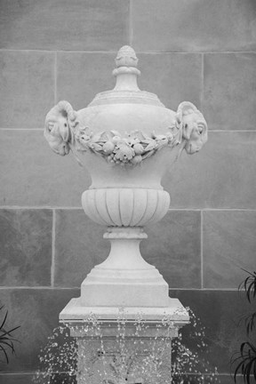 Framed Black &amp; White Fountains III Print