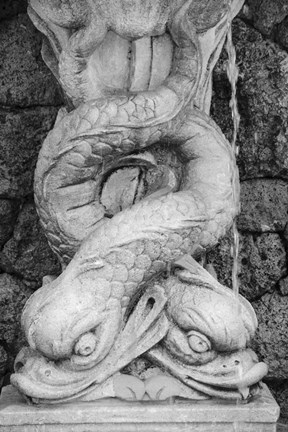 Framed Black &amp; White Fountain Detail I Print