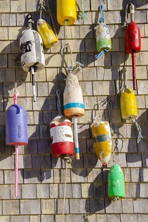 Framed Coastal Trappings II Print