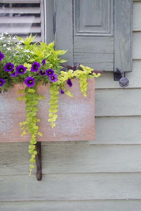 Framed Pastel Windows V Print