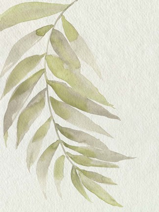 Framed Whispering Palm II Print