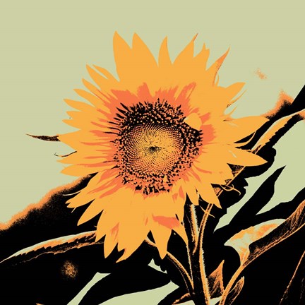 Framed Pop Art Sunflower II Print