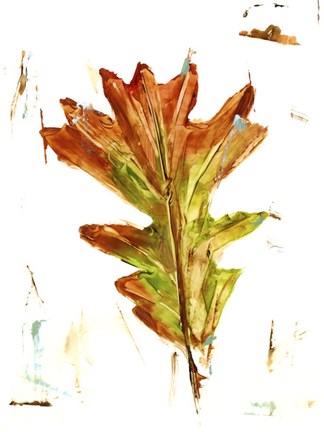 Framed Autumn Leaf Study IV Print