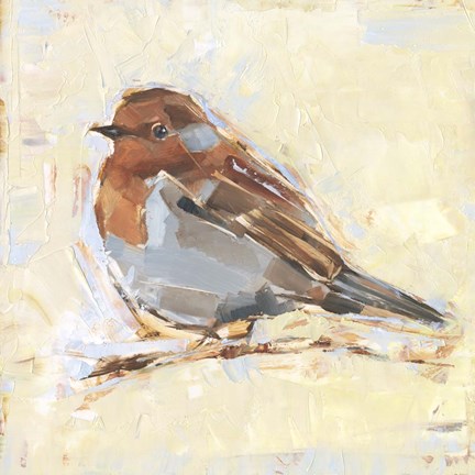 Framed Bird Variety I Print