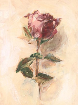 Framed Painterly Rose Study I Print