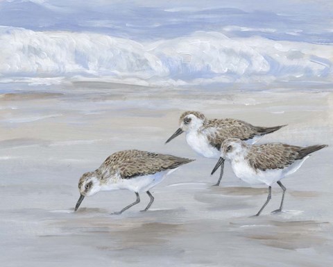 Framed Sandpipers II Print