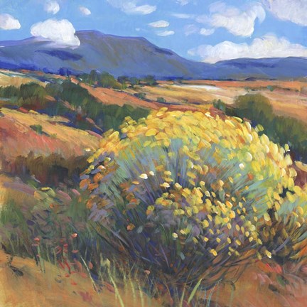 Framed Chamisa II Print