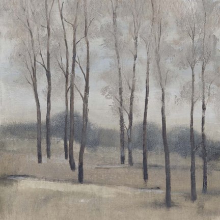 Framed Soft Light II Print