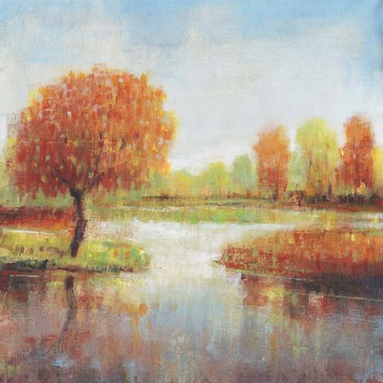 Framed Lake Reflections I Print