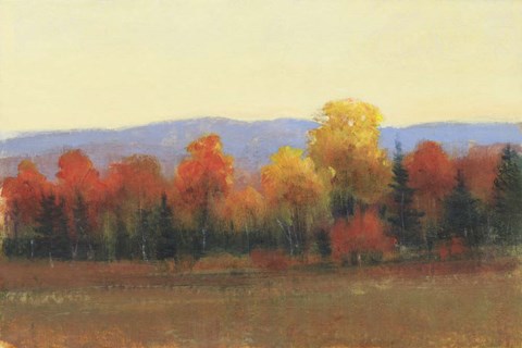 Framed Changing Colors I Print