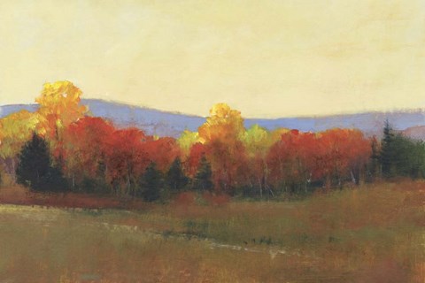 Framed Changing Colors II Print