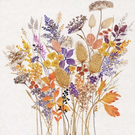 Framed Dried Arrangement I Print